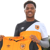 Garść informacji o Hull City